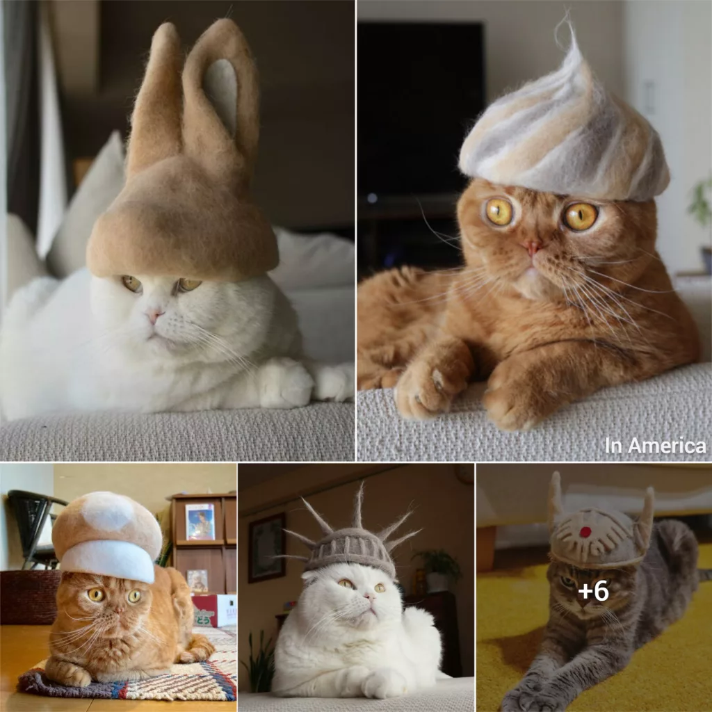 Adorable Feline Hats And Wigs This Japanese Couple Made From Naturally Shed Cats’ Fur Interview With Artist